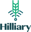 Hilliary Communications Logo