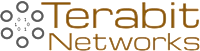 Terabit Networks Logo